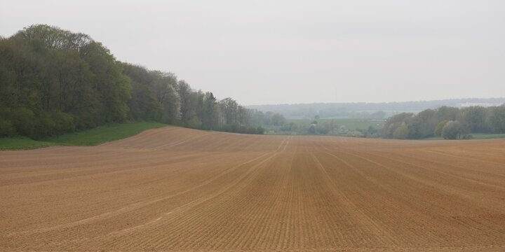 A l'orée de la forêt, champ de terre arable préparée pour être cultivée, au printemps, dans le brouillard matinal