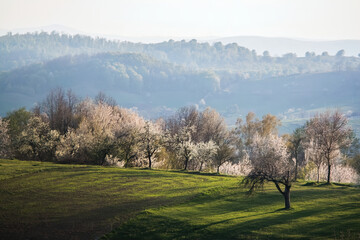 Countryside view in Rosia - Bihor