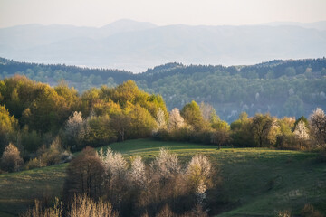 Countryside view in Rosia - Bihor