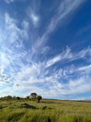 Obraz premium Beautiful landscape on meadow with scenic cloudscape.