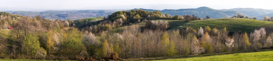 Countryside view in Rosia - Bihor