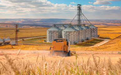Combine harvester harvesting wheat field - Agricultural Silos for storage and drying of grains, wheat, corn, soy, sunflower