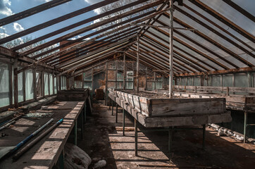 Old abandoned greenhouses. Dead plants. Interior of an abandoned building. Sunny day. Wooden...