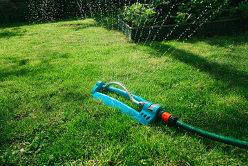 Garden sprinkler with a hose on the grass
