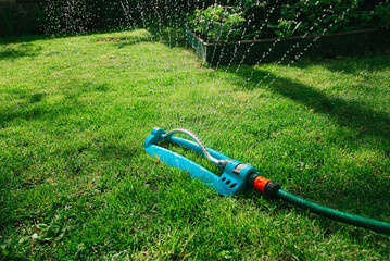 Garden sprinkler with a hose on the grass