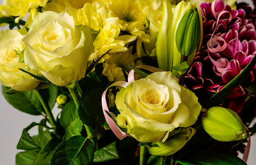 yellow roses, two flowers, close-up on a background of other plants