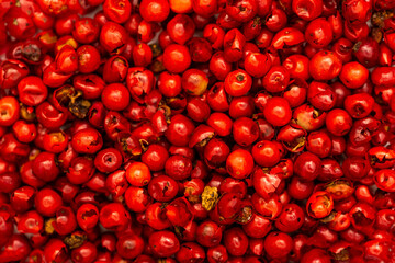 Pink peppercorns, spice close-up flat lay on a white background. Indian and Arabic spices for cooking. Medicinal herbs and spices.