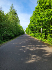 Obraz premium A paved empty road in an avenue in the forest leading to a lake