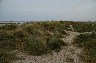 Düne - Nature - Ostsee