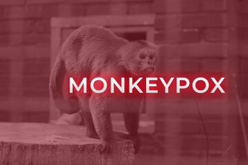 Monkeypox virus. Red background. Outbreak concept. Virus transmitted to humans from animals....