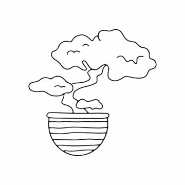 Chinese tree in a pot linear illustration. Outline image. Vector