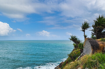 Fototapeta premium The shore of a paradise island with palm trees against the background of the boundless ocean and blue sky.