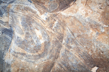 gray rock with colorful moss as background