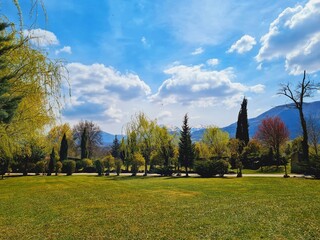 autumn in the park