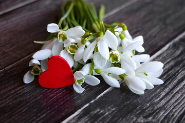White snowdrops lie on a wooden table with a small red heart.