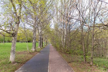 A path in a park without people. On the left is a bicycle path, on the right is a brick-lined pedestrian path.