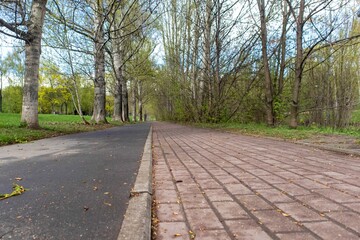 A path in a park without people. On the left is a bicycle path, on the right is a brick-lined pedestrian path.