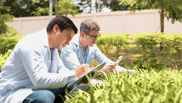 Two young biotechnologist in white coat use magnifying glass check baby lecture for research and digital laptop in organic farm. Good quality products, Remember growing plant, Earths day concept.
