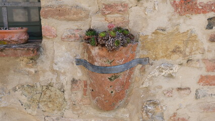 flowerpot on the wall