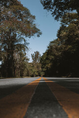 Fototapeta premium Caxambu, Minas Gerais, Brasil: Estrada de ligação entre as cidades de Caxambu e Pouso Alto, no circuito turistico das Terras Altas da Mantiqueira