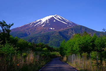 Mt. Fuji in the early morning blue sky from the forest road Fuji line in Fujiyoshida City 05/26/2022