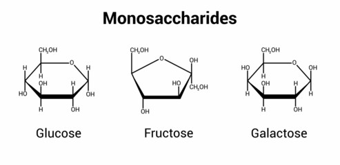 glucose fructose and galactose monosaccharides (simple sugars) - obrazy, fototapety, plakaty