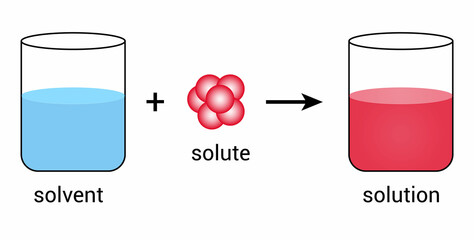 schematic of solubility in chemistry. Solute solvent and solution