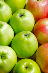 Apples red and green close-up.