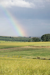 paisaje verde con arco iris 