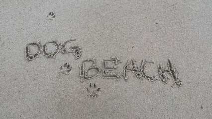 dog beach written on the sand of the beach with dog print. Dogs are allowed on the beach
