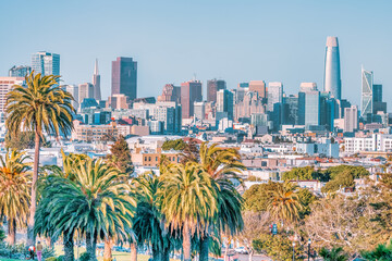 Dolores Park, San Francisco, California. color landscape photo of park with palm trees in...