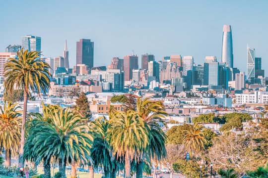Dolores Park, San Francisco, California. color landscape photo of park with palm trees in foreground and san francisco skyline in background