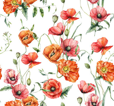 Watercolor meadow flowers seamless pattern of poppy, bindweed, capsella and geranium. Hand painted floral illustration isolated on white background. For design, print, fabric or background.