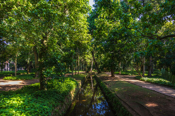 Beautiful view of Rio de Janeiro botanical garden