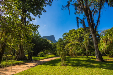 Beautiful view of Rio de Janeiro botanical garden
