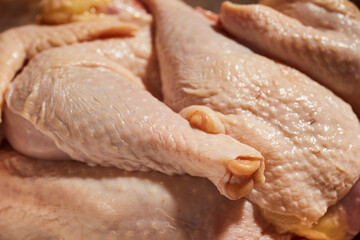 Cut up pieces of raw stewing hen from a small farm in Lancaster County, Pennsylvania, USA. These older chickens are cut this way for soups and stews.