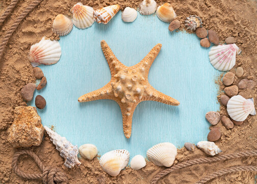 Starfish in a frame of sand and shells. Painting of a marine theme for the interior
