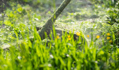 mowing the grass with a lawn mower, garden work concept background
