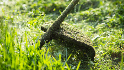 mowing the grass with a lawn mower, garden work concept background