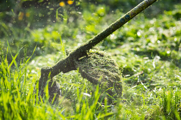 mowing the grass with a lawn mower, garden work concept background