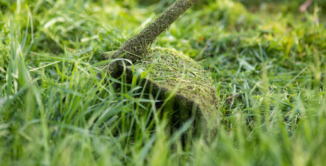 Obraz premium mowing the grass with a lawn mower, garden work concept background