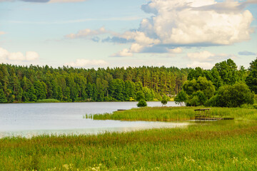 Lake with green reeds on Masuria, Poland - obrazy, fototapety, plakaty
