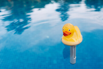 yellow rubber duck toy in the water of a swimming pool. moving water texture. Pool background with floating rubber duck. to use text.