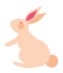 cute rabbit seated