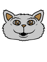 Gesicht Süße Katze 