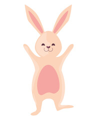 cute rabbit celebrating animal