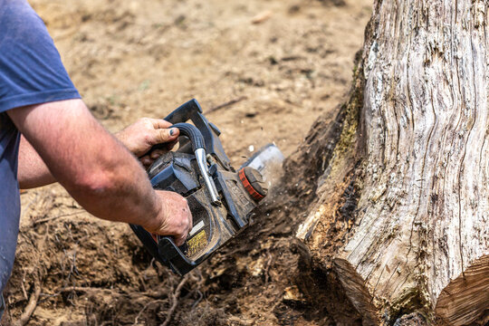 A Man Using A Chainsaw To Cut Out A Tree Stump In A Garden During A Do It Yourself Project