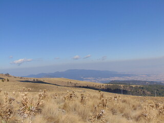 landscape in the mountains