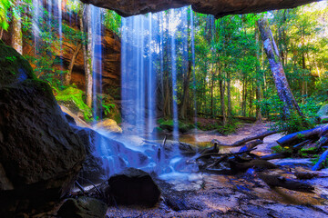 Fototapeta premium BM Oakland fall back veil