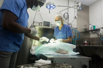 Veterinarian and assistant doing operation for dog in a veterinary clinic